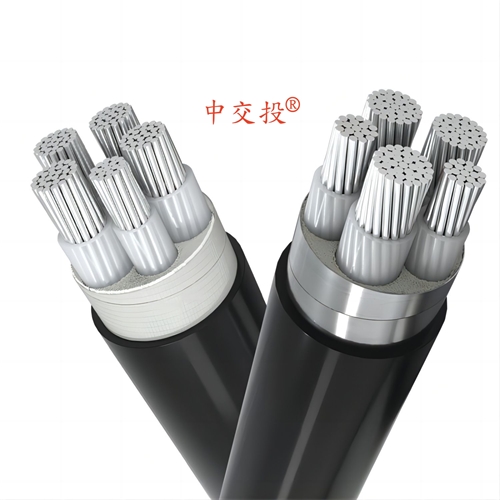 www.21907.cn
