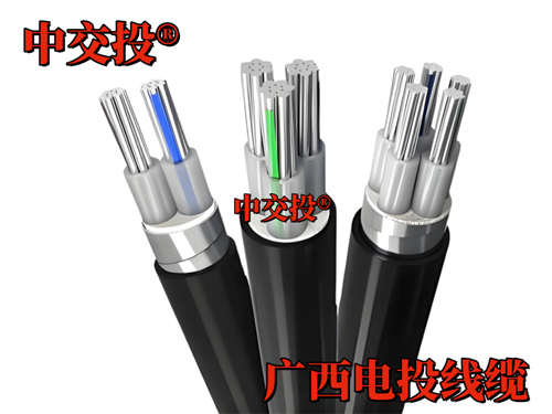 www.21907.cn