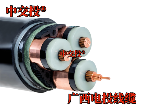 www.21907.cn